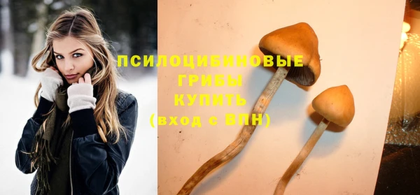 ECSTASY Михайловка