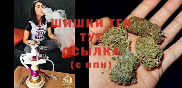 прущие грибы Наволоки