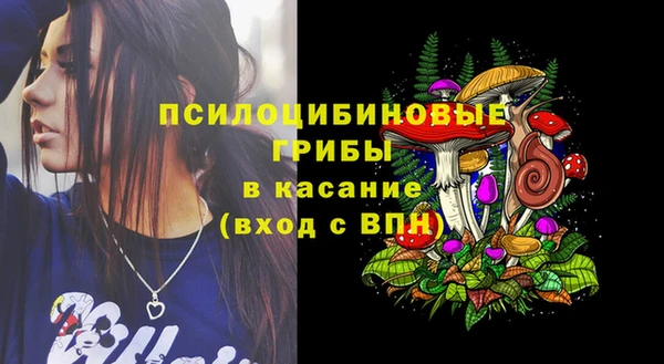 ECSTASY Михайловка