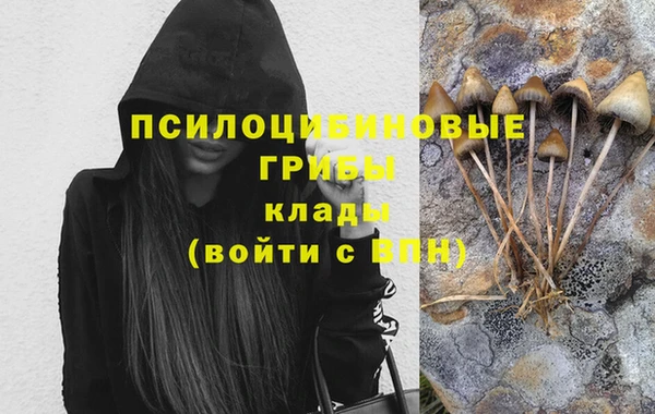 альфа пвп Михайловск