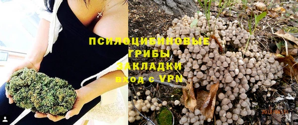ECSTASY Михайловка